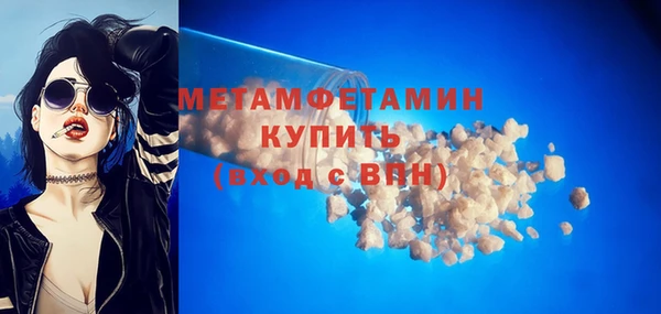 гидра Покачи