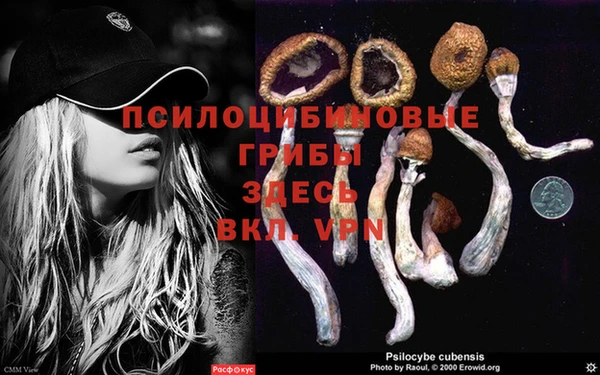 бошки Богородск