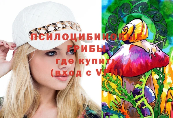 jwh Богородицк