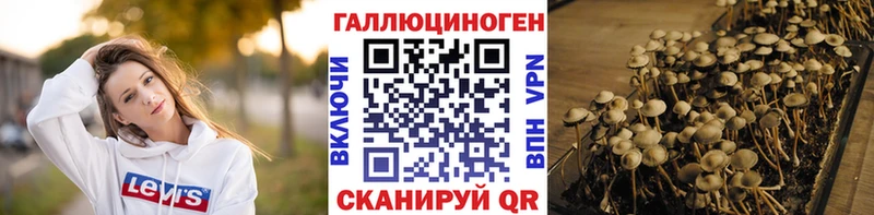 где купить наркоту  Старица  Псилоцибиновые грибы ЛСД 